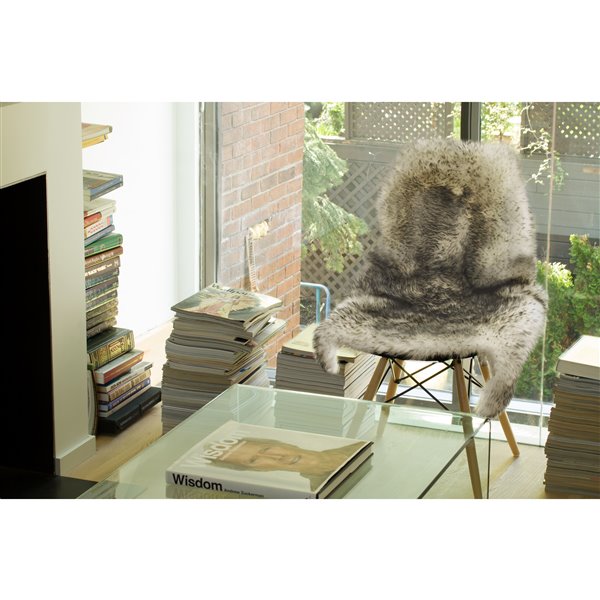 Natural by Lifestyle Brands 2-ft x 3-ft Grey New Zealand Single Sheepskin Rug
