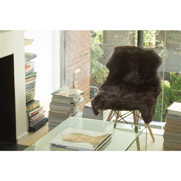 Natural by Lifestyle Brands 2-ft x 3-ft Chocolate New Zealand Single Sheepskin Run