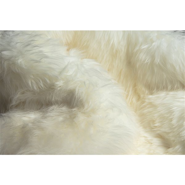 Natural by Lifestyle Brands 2-ft x 3-ft Natural New Zealand Single Sheepskin Rug