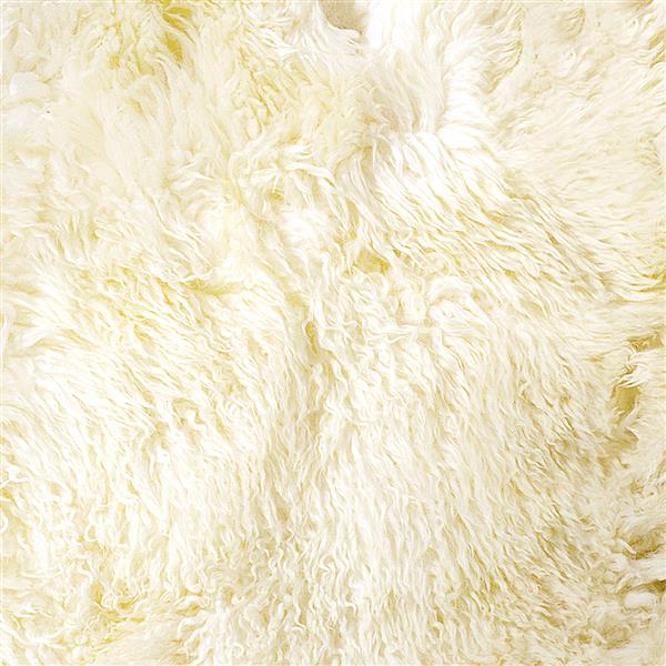 Natural by Lifestyle Brands 2-ft x 3-ft Natural New Zealand Curly Single Sheepskin Rug