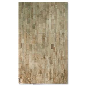Natural by Lifestyle Brands 5-ft x 8-ft Tan Madrid Cowhide Stitched Rug