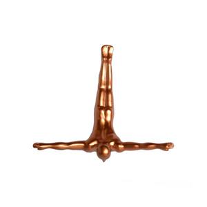 Natural by Lifestyle Brands 2.5-in x 6.5-in Bronze Decorative Wall Diver