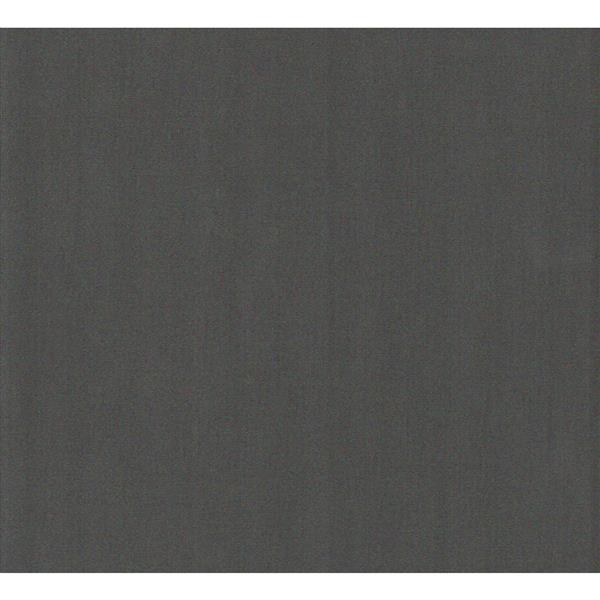 Sun Glow 62-in x 72-in Chainless Privacy Roller Shade with Valance