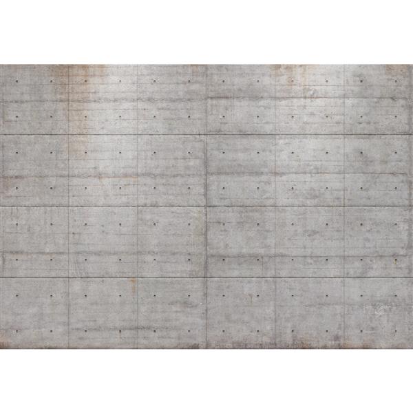 Brewster Wallcovering Concrete Blocks Wall Mural - 100-in x 145-in