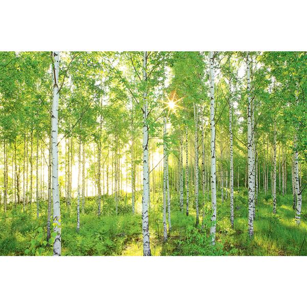 Brewster Wallcovering Sunday Wall Mural - 100-in x 145-in