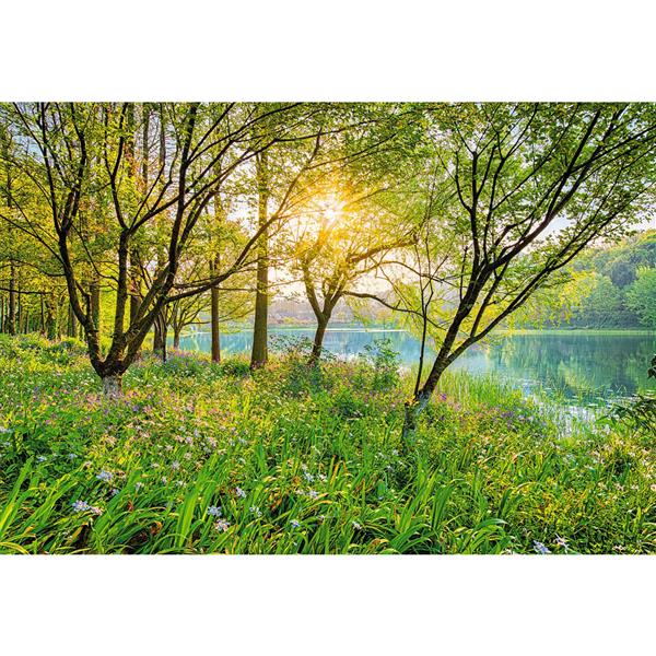 Brewster Wallcovering Spring Lake Wall Mural - 100-in x 145-in