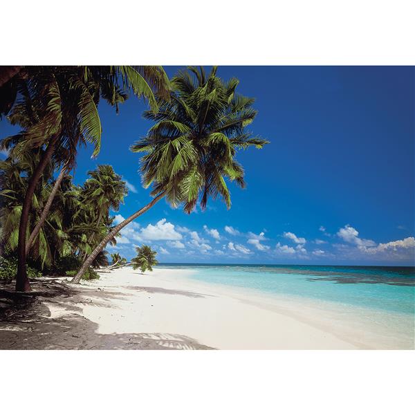 Brewster Wallcovering Maldives Wall Mural - 106" x 153"