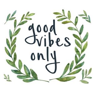 WallPops Good Vibes Only Wall Quote - 19.5-in x 17.25-in