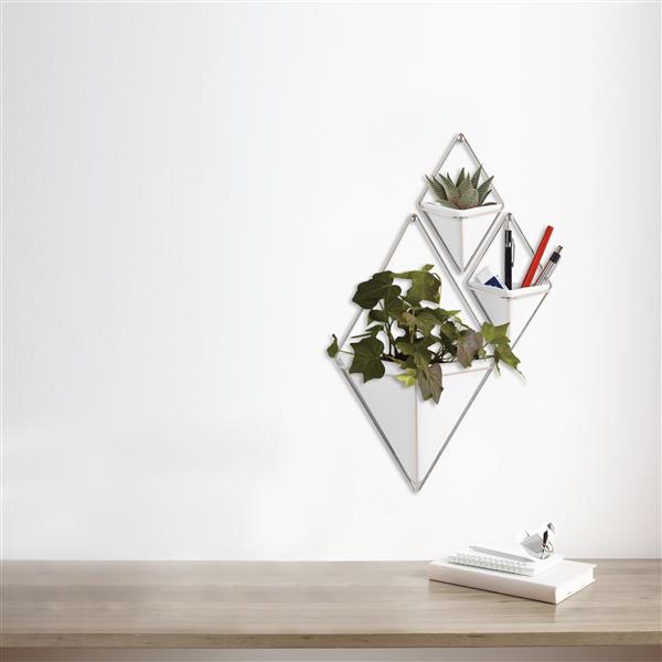 Umbra Trigg Wall Display - Large - White/Nickel