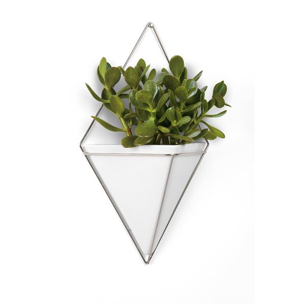 Umbra Trigg Wall Display - Large - White/Nickel