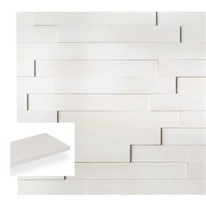 Timberwall 3/8-in x 3-1/4-in Landscape Arctic Appearance Board