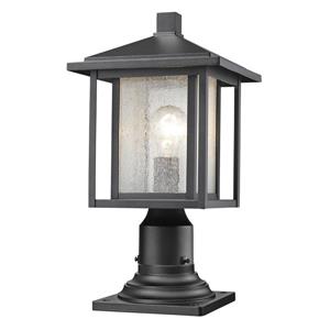 Z-Lite Aspen Outdoor Lantern - 1 Light -  Black