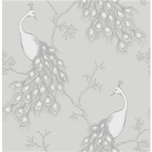 Papier peint paon, 20,5", gris