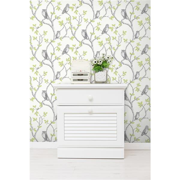 Brewster Wallcovering Green/Green Linden Owl Wallpaper 20.5-in