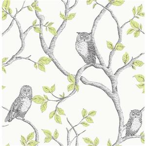 Brewster Wallcovering Green/Green Linden Owl Wallpaper 20.5-in