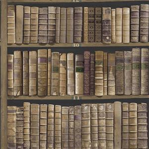 Brewster Wallcovering Brown Bookcase Non-Woven Paste The Wall 20.5-in Trinity Bookcase Wallpaper