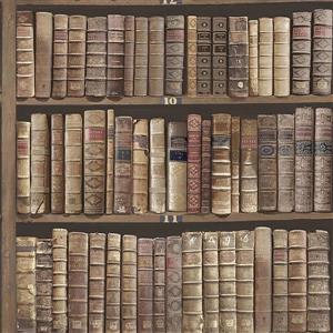 Papier peint bibliothèque Trinity, 20,5