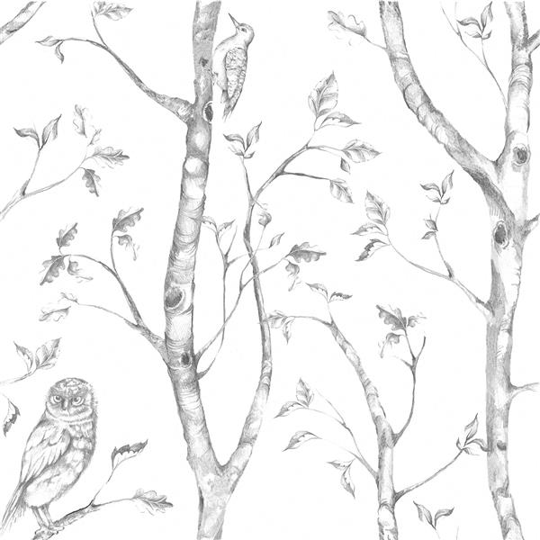 NuWallpaper Wood Sticker Wallpaper - 20.5-in x 216-in - Gray