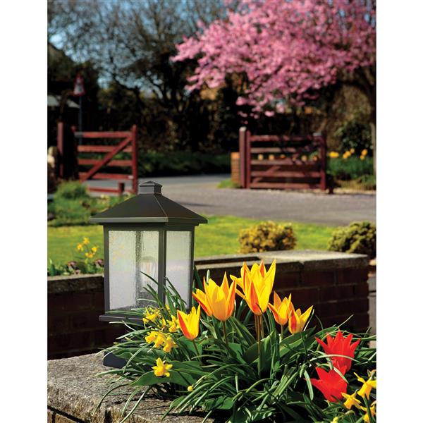 Luminaire extérieur sur socle Portland, Bronze - 8 pox16.79 po