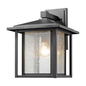 Z-Lite Aspen 12-in x 10-in Black Outdoor Wall Light