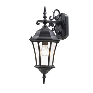 Z-Lite Wakefield 21.75-in Small Black Outdoor Wall Sconce