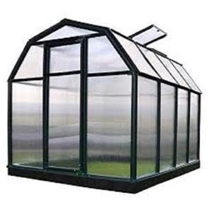 Rion Green Plastic 6-ft x 8-ft Polycarbonate EcoGrow Greenhouse