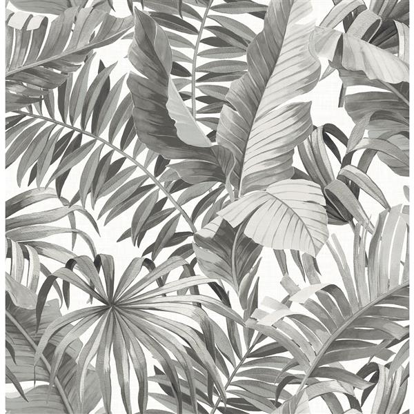 black and white palm wallpaper