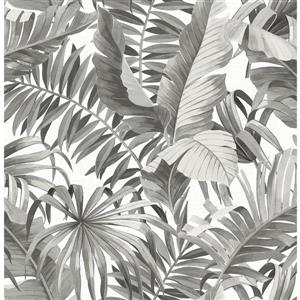 A-Street Prints 57 sq ft Black Alfresco Palm Leaf Wallpaper