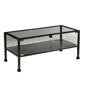 Boston Loft Furnishings Veritas 21-in x 42.5-in x 18.5-in Black Frame And Clear Glass Top Terrarium Style Coffee Table