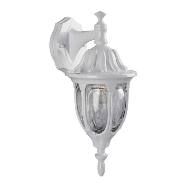 Galaxy Lighting 15-in White Clear Glass Downward Mount Outdoor Wall Light