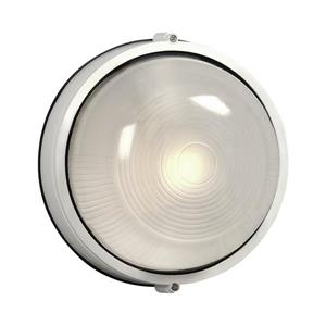 Galaxy Marine 10.25-in White Frosted Glass Outdoor Wall Light