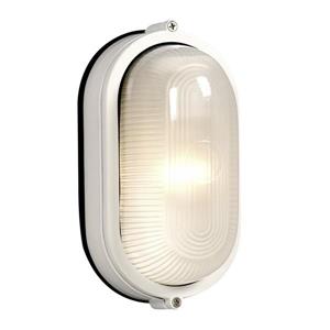 Galaxy Marine 8.375-in White Frosted Glass Outdoor Wall Light