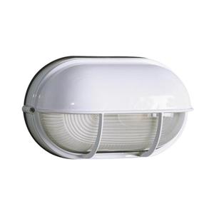 Galaxy Marine 6.5-in White Hooded Frosted Glass Outdoor Wall Light