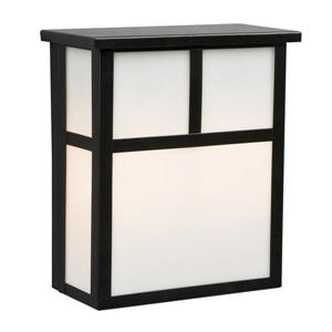 Galaxy 10-in Black White Glass 2-Light Outdoor Wall Lantern