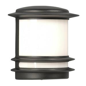 Galaxy 9.5-in Black White Glass Outdoor Wall Light