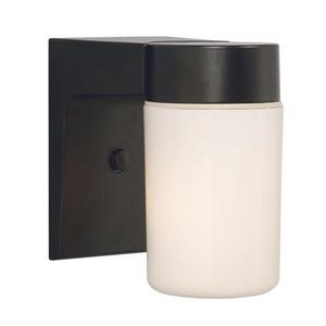 Galaxy 6.62-in Black White Glass Outdoor Wall Light