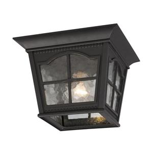 Galaxy 10.87-in Black 1-Light Outdoor Flush Mount Light