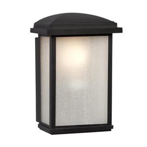 Galaxy 9.5-in Black Frosted Glass Outdoor Wall Light