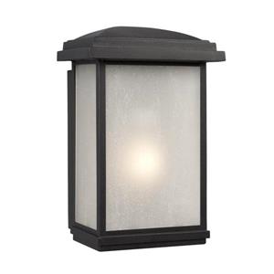 Galaxy 12.75-in Black Frosted Glass Outdoor Wall Light