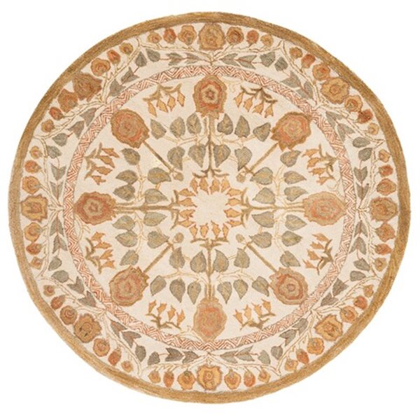 Safavieh AN542A Anatolia Area Rug, Ivory,AN542A-8R