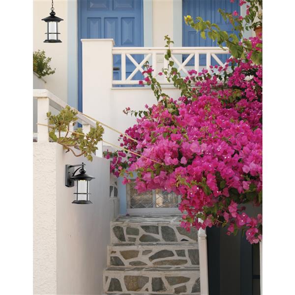 Z-Lite Genesis Outdoor LED Suspended Light - Black