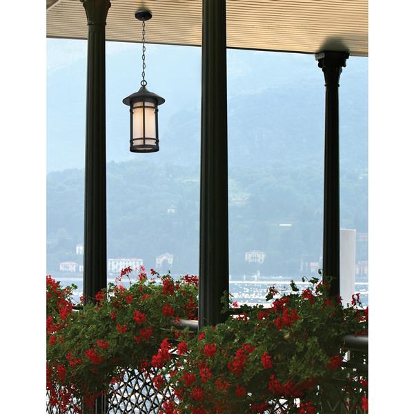 Z-Lite Woodland Outdoor Suspended Light - Black