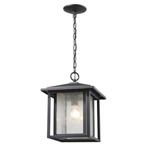 Z-Lite Aspen 1-Light Outdoor Suspended Light - Black