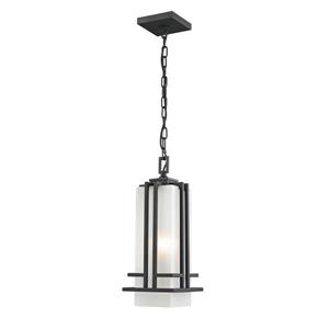 Z-Lite Abbey Outdoor Suspended Light - Black