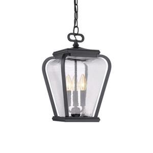 Quoizel Province Mystic Black Transitional Clear Glass Lantern Pendant