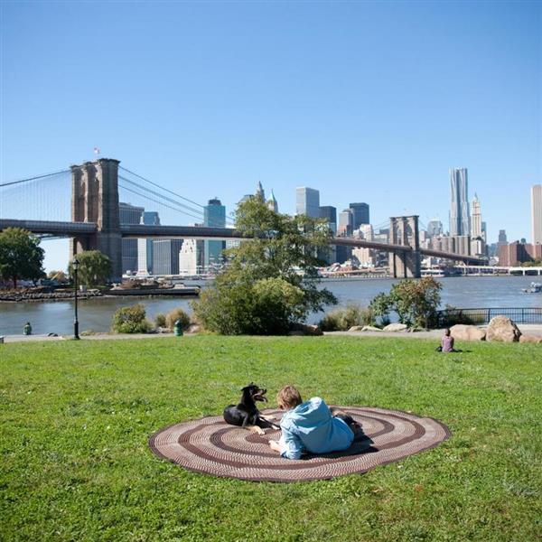 Colonial Mills Deerfield 3-ft x 5-ft Seal Brown Area Rug