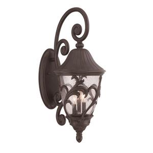 Acclaim Lighting Capri 30-in x 12-in Black Coral Wall Mounted Lantern