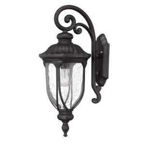 Acclaim Lighting Laurens 22.5-in Matte Black Clear Glass Downward Mount Outdoor Wall Lantern