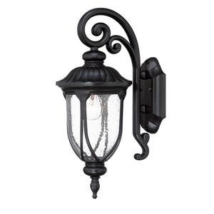 Acclaim Lighting Laurens 16.5-in Matte Black Clear Glass Downward Mount Outdoor Wall Lantern