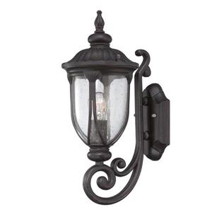 Acclaim Lighting Laurens 16.5-in Black Coral Outdoor Wall Lantern